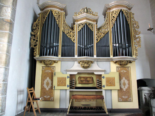 Dom
                          small organ